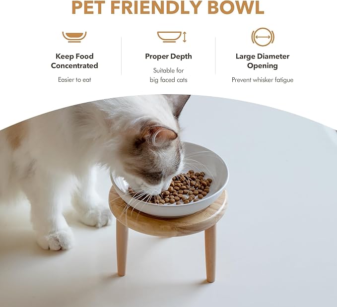 Havniva Elevated Cat Bowls, Ceramic Cat Food Bowl Whisker Friendly Cat Dishes, Kitten Food & Water Bowl with Two Heights Stand, Anti-Slip Raised Cat Food Plates