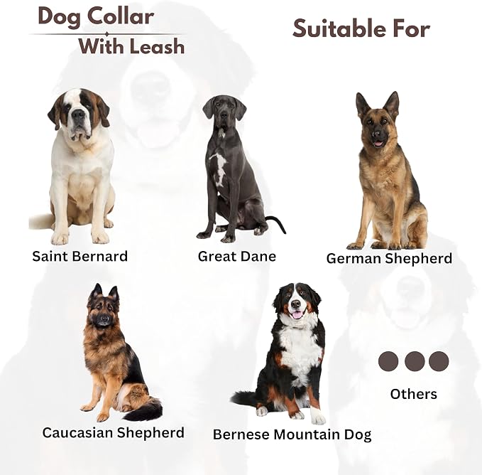 Heavy Duty Dog Collar and Leash Set for Large Dogs - Adjustable 21" Leather Nylon Collar with Durable 50" Leash, Metal Buckle & Handle - Training, Walking, Outdoor Pet Harness Combo for Big Breeds