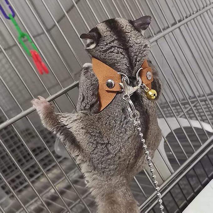 3 Pack Sugar Glider Harness and Leash Set - Adjustable Traction Rope Strap Anti-Biting Chain Rope, Small Animal Training Walking Vest Leash for Sugar Glider Squirrel Hamster Rat Birds Reptile (Brown)