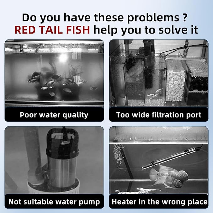 2.5 Gallon Fish Tank Kit with Heater for Betta, Shrimp, Guppy, Acrylic | Dry-wet Separation Filtration, Self-cleaning, Ultra-quiet, 3 Color Light, 10 Brightness, Adjustable Water Flow, Round Corner