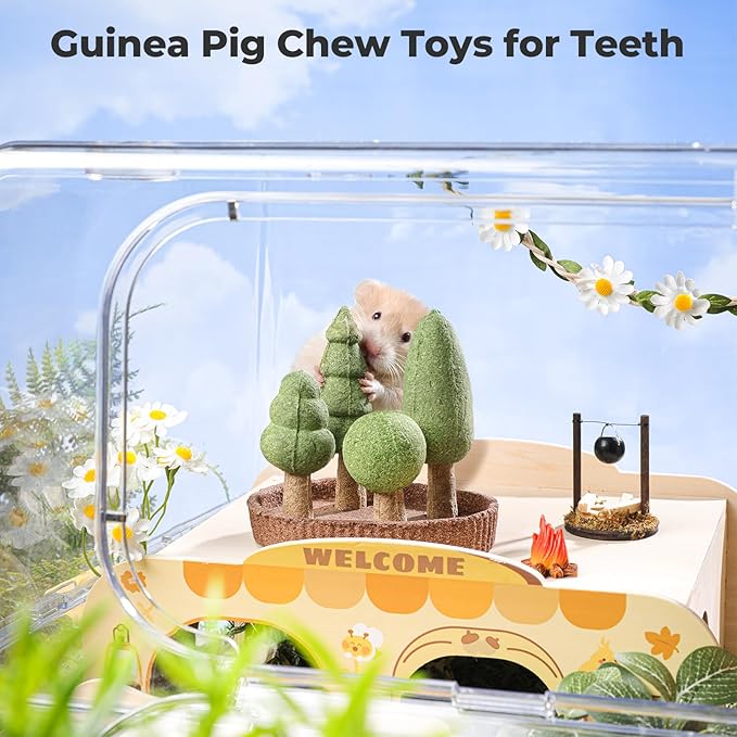 mini&moe Hamster Chew Toys for Teeth – 5PCS Guinea Pig Chew Toys Detachable Natural Edible Chinchilla Treats Improve Dental Health Hamster Enrichment Toys for Rabbit, Bunny, Gerbils