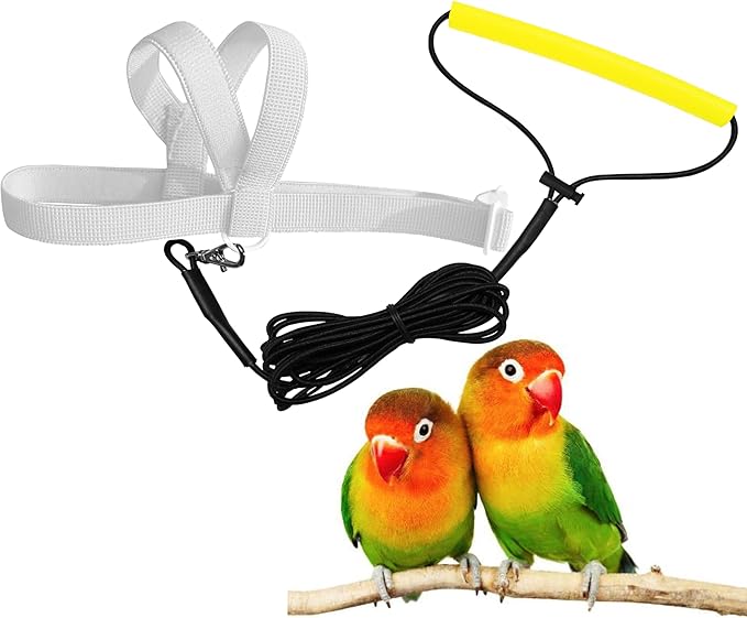 Pet Parrot Bird Harness Leash Adjustable Bird Flying Harness Traction Rope with Cute Wing for Parrots Pigeons Budgerigar Lovebird Cockatiel Mynah Outdoor Training Toy (White,XS)