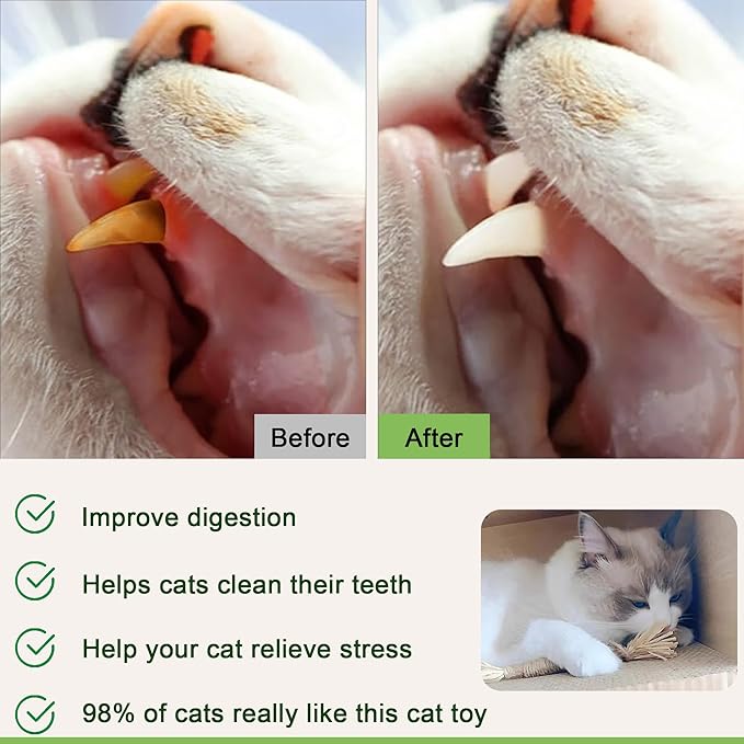 Silvervine Sticks for Cats (6 Pcs),Natural Catnip Sticks,Cats Chew Dental Treat,Cats Toy Wand Interactive, Catnip Toys,Teething Toys for Kittens, timber