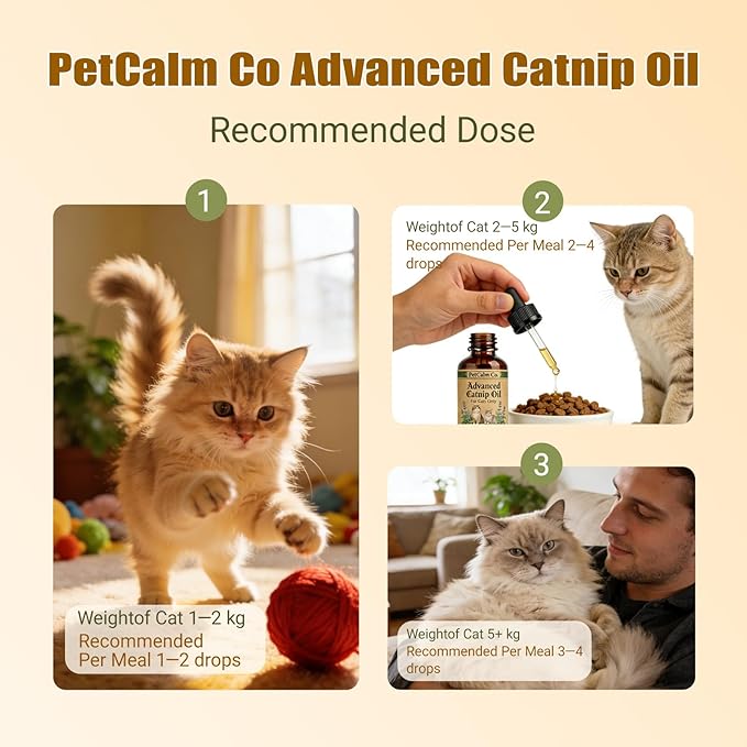 PetCalm Co Advanced Catnip Oil - 5000 mg Catnip, Vet Formulated, for Cats Only, Cat Relaxation Supplement (2.1 fl oz)
