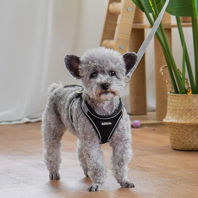 AIITLE Easy Walk Dog Harness and Leash Set - Pet Supply No Pull, Step in Adjustable Dog Harness with Padded Vest, Dog Harness No Choke Over, Easy to Put on Medium Dogs Black L