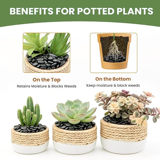 3/8-Inch Plant Decorative Gravel -6 Pounds Natural Black Decorative Pebbles | Smooth and Round, Black and Shiny, Scratch Resistant and Wear-Resistant, Natural Raw Stone