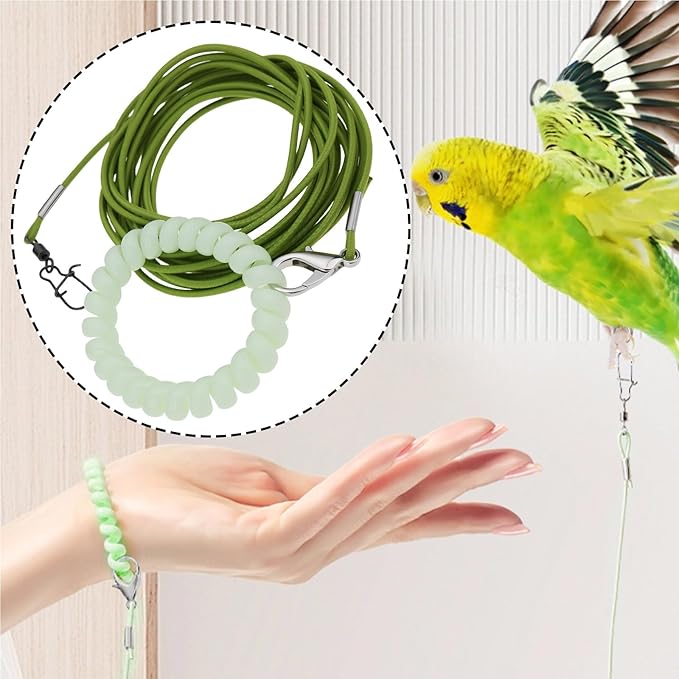 Bird Harness Flying Training Rope 3M for Parrots Pigeons and Budgerigars with 4# Ring (Green)