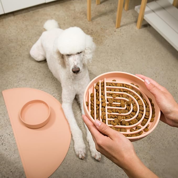 Should We Go? Slow Feeder for Dogs & Puppies, The Slowdown Bowl Silicone Slow Eating, Modern Lick Mat Design, Reduces Gulping, Fits 2.5 Cups, 9.5” Across x 1.5” Tall, Mealtime Challenge, Large-Blush