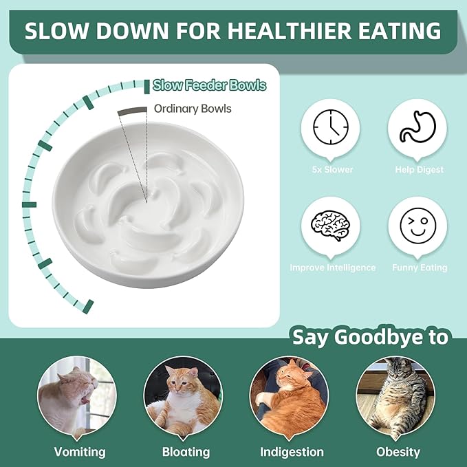 Ceramic Cat Slow Feeder Bowl - 6.3'' Wide Opening Whisker Friendly Cat Plate for Dry and Wet Food - Cute Maze Feeder Dish Helps Reduce Vomiting - Microwave and Dishwasher Safe - White