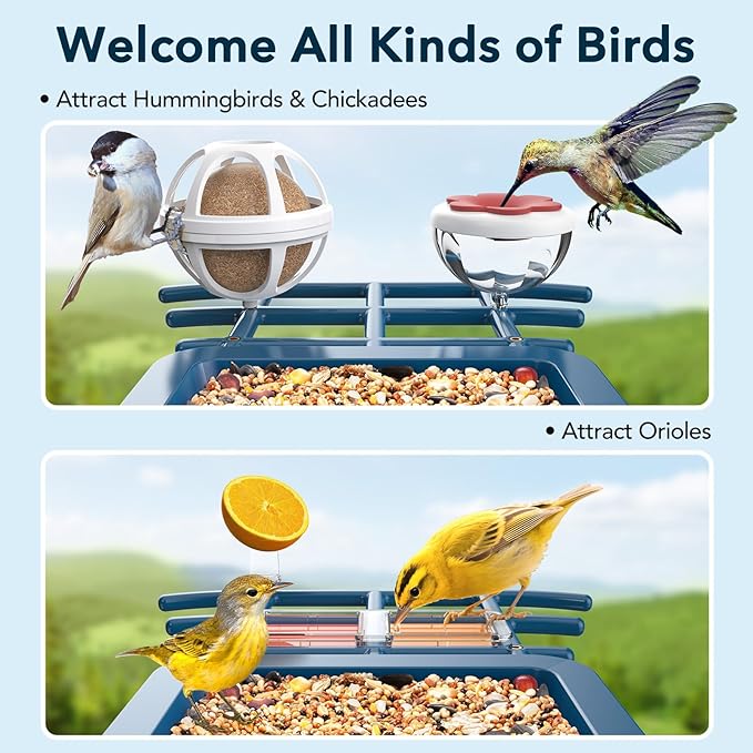PeckCam® Bird Feeder with Camera Solar Powered, AI Identify & Auto Capture with 32GB Card, 2K HD Live Video Smart Bird Feeder Camera Instant Notifications in Backyard, Gift for Bird Lovers