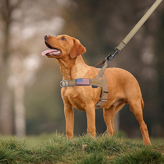 Annchwool No Pull Dog Harness with Padded Handle+5 Ft Leash,Reflective Strip Escape Proof and Quick Fit to Adjust Dog Harness,Easy for Training Walking for Small & Medium and Large Dogs(Brown-Set,L)