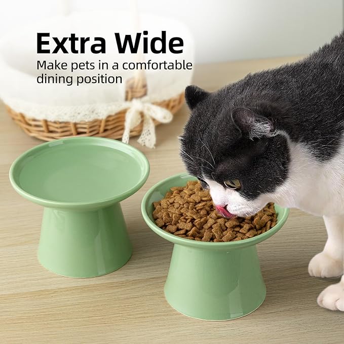 6.2 Inch Extra Wide Elevated Ceramic Cat Bowls, Food and Water Bowl Set for Elder Big Cats Small Dogs, Raised Design for Pet Easy Eating, Protect Cat's Spine Set of 4(Green)
