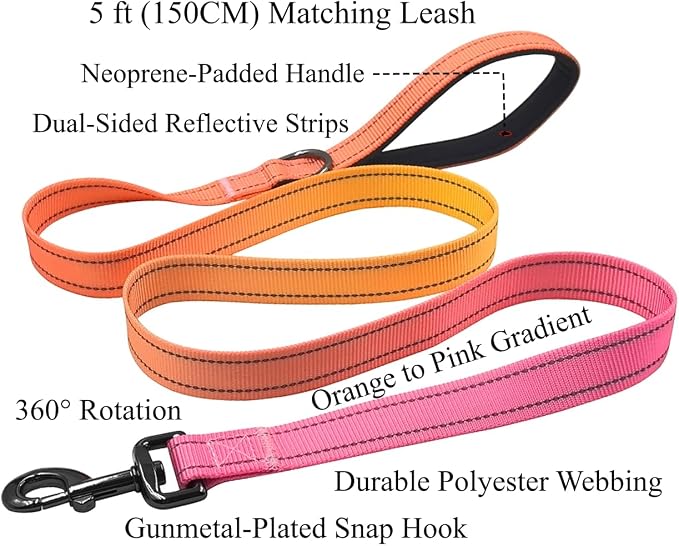 Dog Collar Leash Set, Gradient Color, with Safety Reflective Strips, 5 ft Matching Leash, Neoprene Padded Handle, Adjustable 4 Sizes for Small Medium Large Dogs.(XS, Orange Pink)