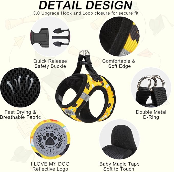 BEAUTYZOO Graduation Dog Harness for Small Medium Dogs - Soft Padded Step-in Reflective Puppy Vest with Leash Set, Adjustable No Pull Dog Harnesses, Grad Party Photo Props Gift for Boy & Girl Pets