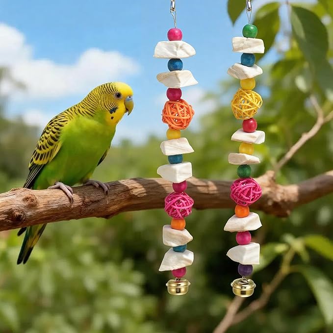 Bird Toys with Cuttlebone, Prevents Destructive Chewing, Grinding Stone for Bird, White, Colorful, 2 Pcs