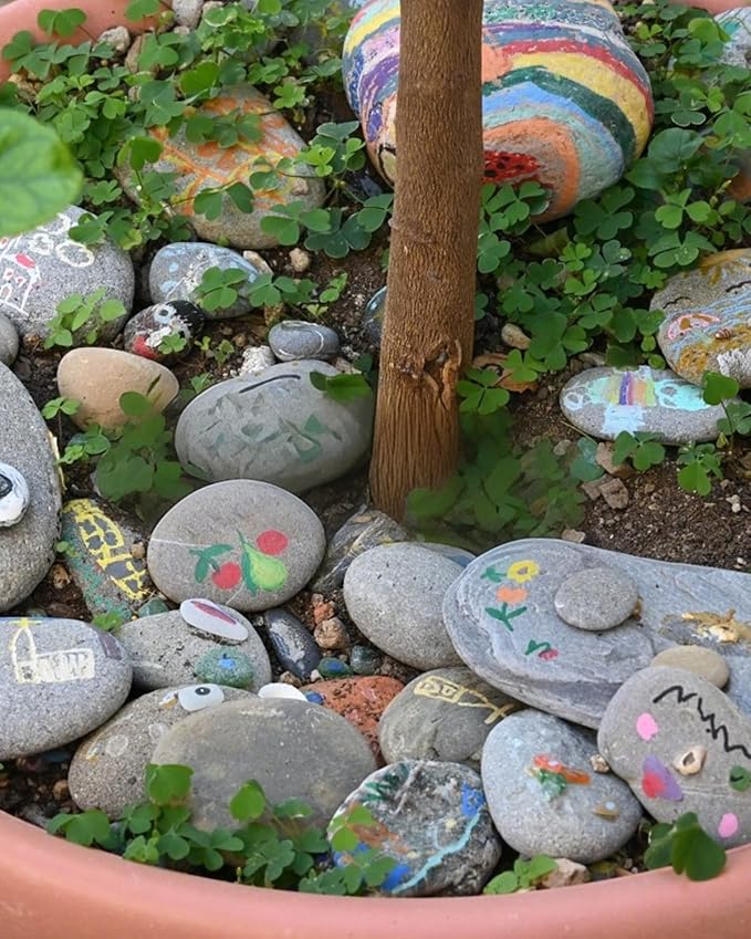 Natural River Rocks-10 lbs of Pebbles and River Stones,2-3 Inch Plant Rocks for Landscaping,Garden Paving,Crafting,Walkways,and Outdoor Decorative Stone,Mexican Beach River Rocks