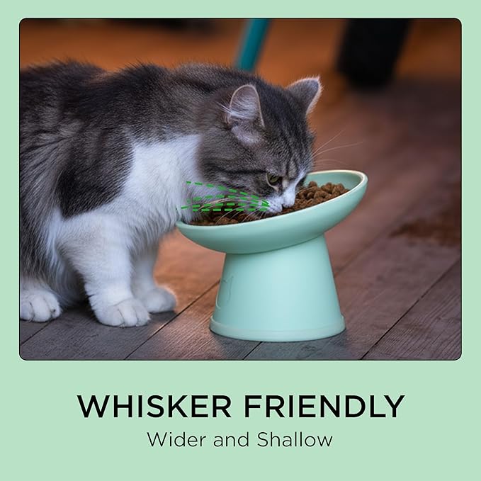 Necoichi 2pcs Tilted Elevated Cat Food Bowls BPA-Free Plastic 15° Tilted Raised Cat Bowl for Whisker & Neck Fatigue, Dishwasher Safe Non-Slip & Anti-Vomiting Ergonomic Design (Smoky Mint)