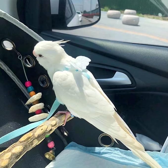 Pet Parrot Bird Harness Leash Adjustable Bird Flying Harness Traction Rope with Cute for Parrots Budgerigar Lovebird Cockatiel Mynah Outdoor Training Toy (Mannikin/Finch,White)