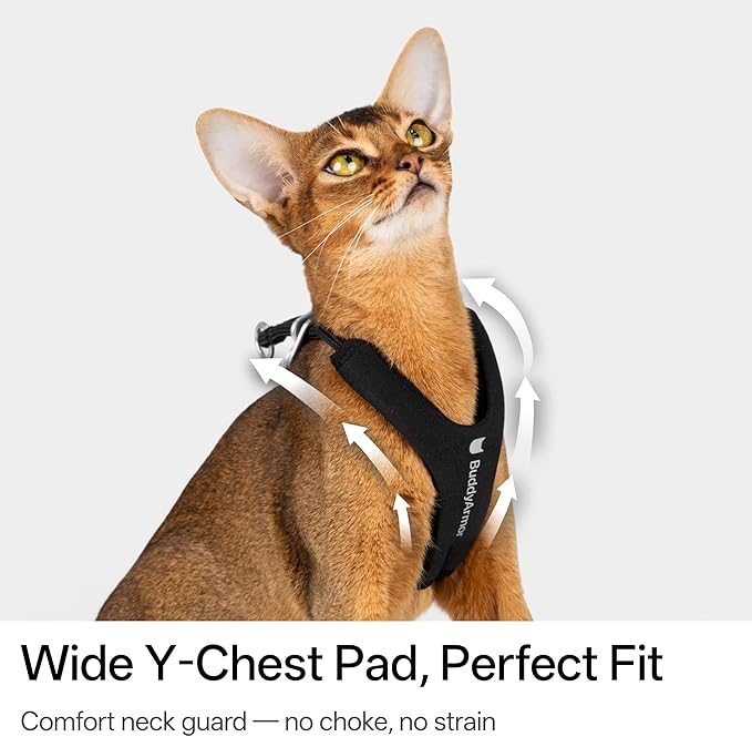 Escape Proof Y Shape Cat Harness Anti-Choke Adjustable Soft Comfortable Padded Cat Vest Harness Anti Escape Cat Rope Harness for Kitten Small Medium Large Cats (Burgundy, S)