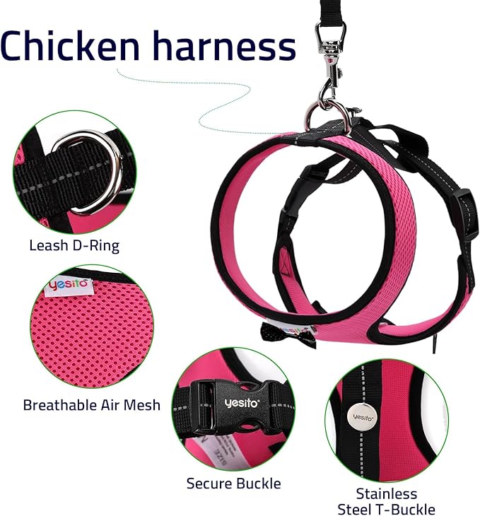 Adjustable Chicken Harness & Diaper with 5.4ft Leash | Escape-Proof Breathable Mesh | Outdoor Walking Training for Hens Ducks & Chicks | Stop Droppings & Feather Mess