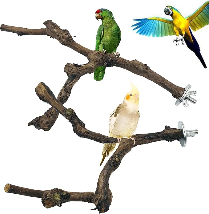4-Piece Bird Perch - Natural Grapevine Stick Swing Chewing Toys for Parrot Cages, Cockatiels, Parakeets, Finches