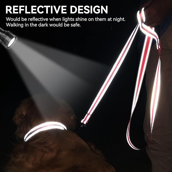 Joytale Dog Leash, 4 FT Double-Sided Reflective, Padded Handle Nylon Heavy Duty Leashes for Small Dogs Walking, Neon Pink