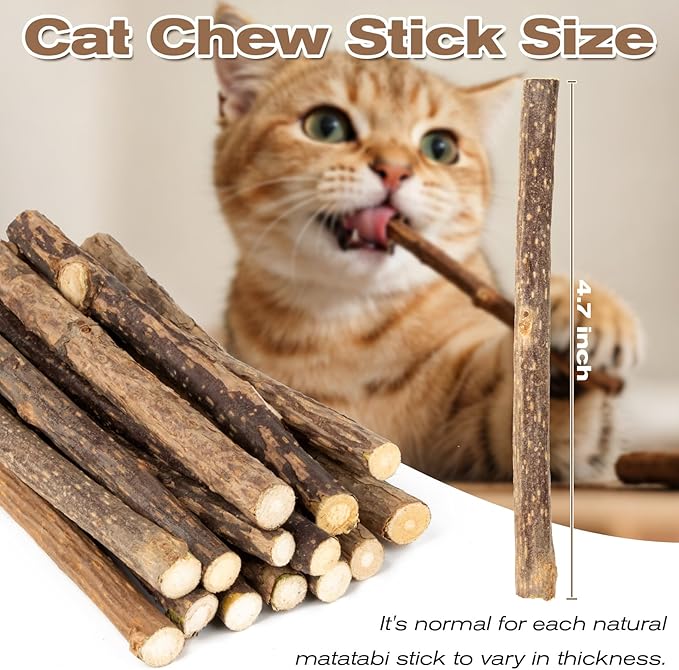 CARGEN Silvervine Cat Chew Sticks - 12 PCS Natural Kitten Chew Toys, Dental Cleaning Sticks, Indoor Cat Daily Treats & Entertainment Supplies