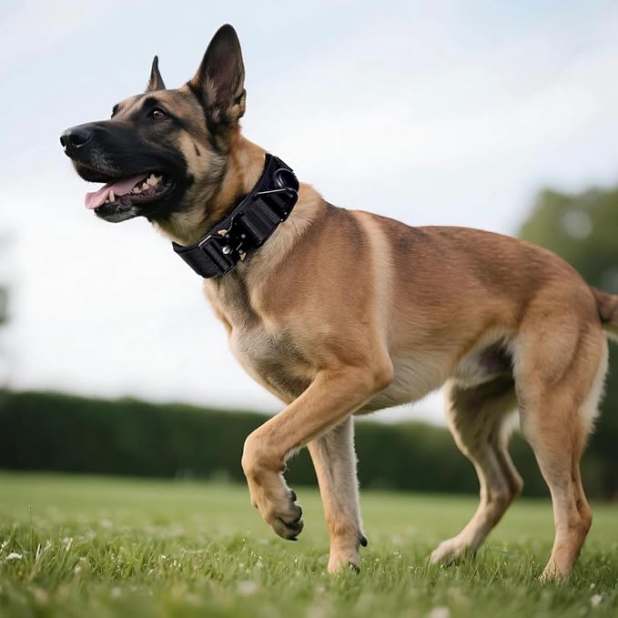 AirTag Dog Collar, 2" Wide Tactical Military Dog Collar with AirTag Holder & 3 Pet Patches, Soft Padded Reflective Waterproof Nylon Collar with Metal Buckle for Large Dogs (Black, L)