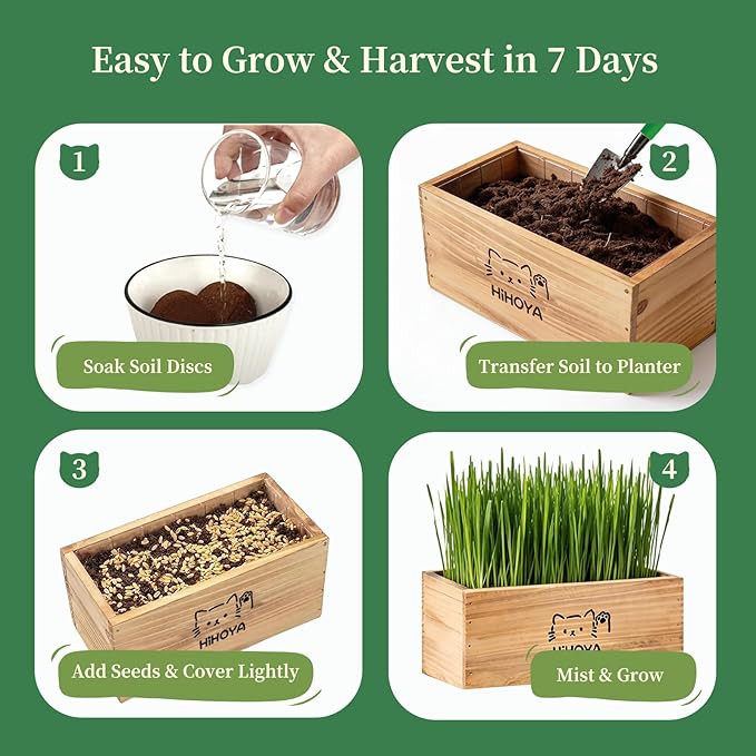 Cat Grass Kit for Indoor Cats - 5 Harvests Wheatgrass Growing Kit with Wooden Planter, Includes 6 Soil Disks, Spray Bottle, Tools & Scissors - Natural Hairball Control for Nipping & Nibbling