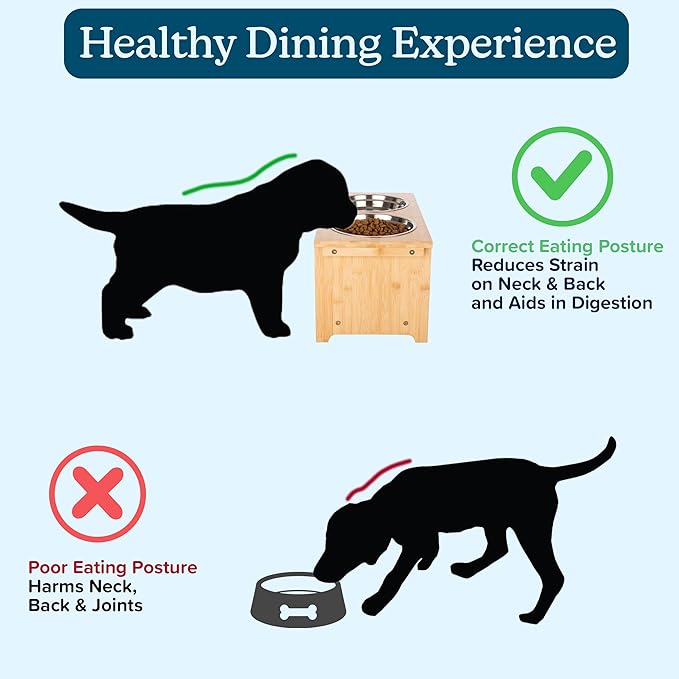 Elevated Dog Bowls - 10-Inch Tall Bamboo Raised Dog Bowl Stand with Nonslip Feet - Comes with Two 45oz Removable Dishwasher Safe Stainless Steel Pet Bowls - Puppy Essentials by PETMAKER
