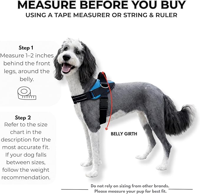 ShawnCo Essential Dog Harness, No-Pull Pet Vest with 3 Leash Clips, No Choke, Reflective, Adjustable and Padded, for Easy Walking and Training for Small, Medium and Large Dogs (Freckle's Garden, M)