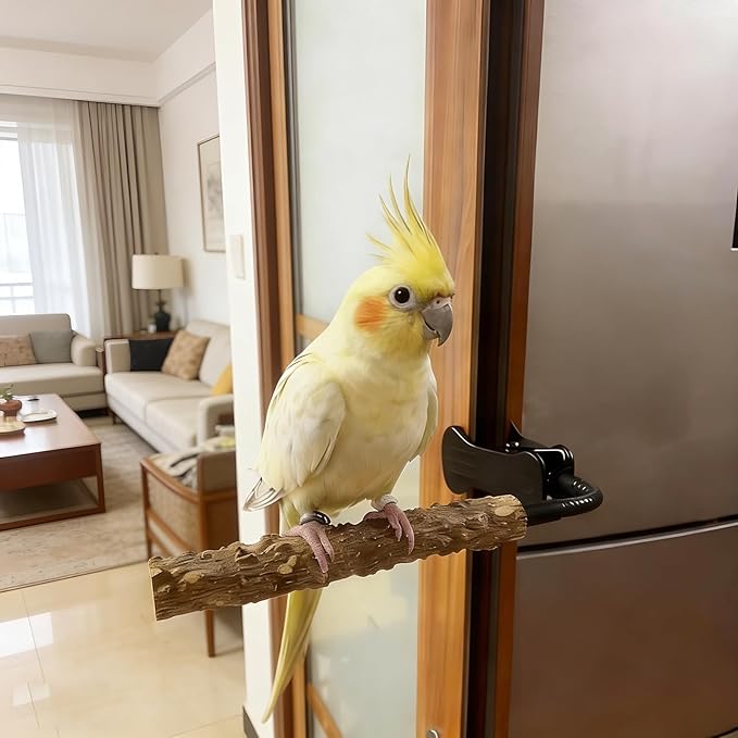 Parrot Bird Perch Stand with Clip,Adjustable & Portable Parrot Stand,Bird Training Stand for Cockatiels, Conures, Lovebirds and Medium & Small Parrots(Rough)