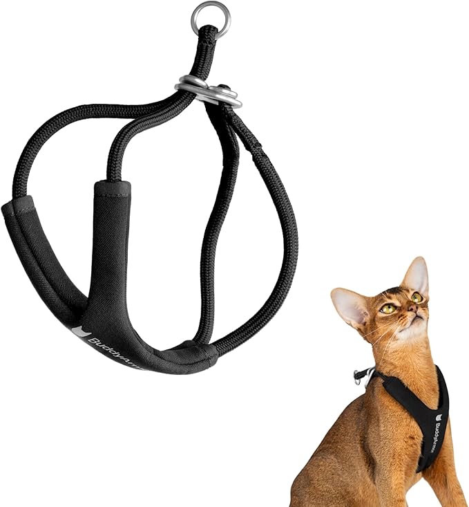Escape Proof Y Shape Cat Harness Anti-Choke Adjustable Soft Comfortable Padded Cat Vest Harness Anti Escape Cat Rope Harness for Kitten Small Medium Large Cats (Black, M)
