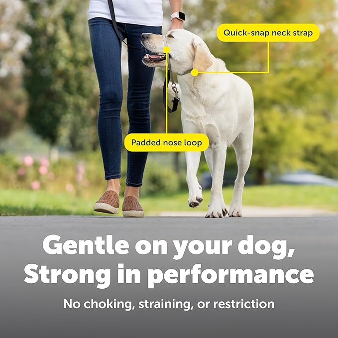 PetSafe Gentle Leader Headcollar No-Pull Dog Collar - Helps Improve Walks - Durable Nylon Construction - Padded Nose Loop - Adjustable Fit - Comfort Walking Halter - Medium, Raspberry Pink