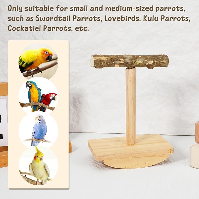 Natural Wood Bird Perch Stand Training, Rocking Perch for Birds, Intelligence Puzzle Enrichment Toys for Parakeets, Parrot Perch Stand for Cockatiels, Budgies, Conures, Bird Playground Accessories
