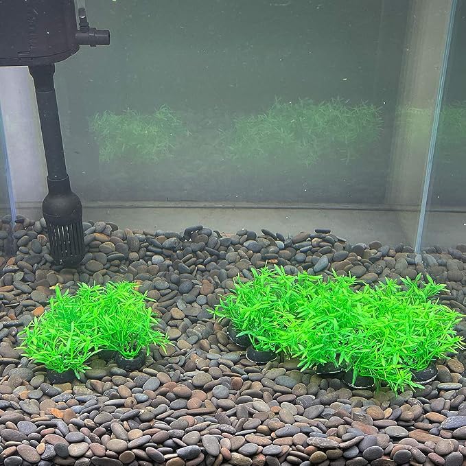 Aquarium Plant Fish Tank Decoration 20 Pieces Small/1" Tall Plastic Artificial Plant Goldfish Hidden Mini Grass Set (Green-A)