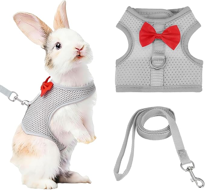 Rabbit Harness and Leash, Small Pet Cute Vest Harness Leash Soft Adjustable Buckle Breathable Mesh (S, Gray) for Bunny Kitten Small Pig Puppies Camping Hiking Training