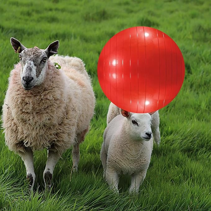 3 Pieces Pet Goat Ball Lamb Toy Horse Ball Dog Training Exercise Ball Toy with Inflator Pump for Pet Dogs Goats Horses to Play in Outdoor Entertainment (Pink, Purple, red)