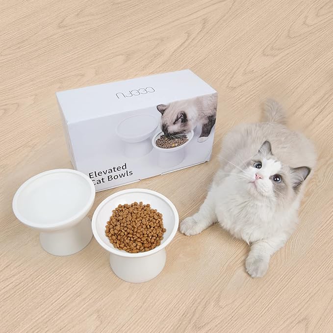 CEEFU Extra Wide Elevated Ceramic Cat Water Bowl - 6.2" Deeper Dish for Whisker Fatigue Relief, 5" Height for Easy Feeding, Lead & Cadmium Free, Durable Raised Cat Bowls, White
