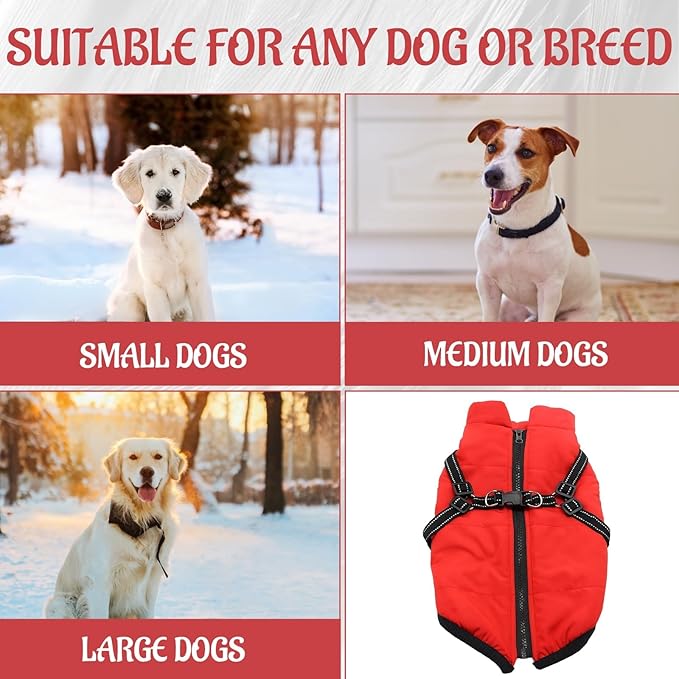1 PCS (Suitable for 8 to 10 pounds) 3 in 1 Winter Jacket for Dogs, Cozy and Warm Dog Coat, Water-Resistant Outer Layer, Adjustable Straps for Secure Fit, Ideal for Cold Weather, Small to Large Sizes