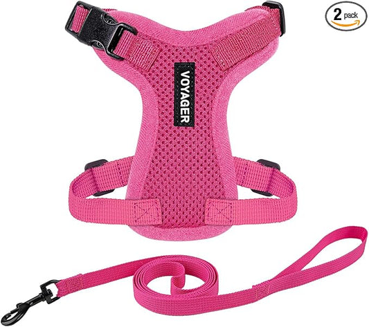 Voyager Escape-Proof Step-in Lock Cat Harness & 5ft Neoprene-Handle Leash Set All-Weather Mesh with Reflective Stitching for Small to Large Cats by Best Pet Supplies, Fuchsia, S