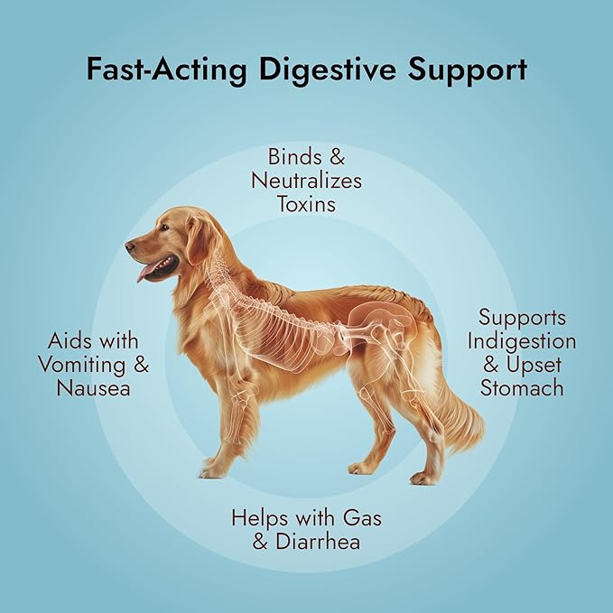 Pet Vet Flavored Activated Charcoal Gel for Dogs & Cats (60ml Bottle, 2 Pack), Dog First Aid Activated Charcoal, Absorbs Toxins, Supports Poisoning, & Gas Relief, Emergency Pet Dog Supplies (Beef)