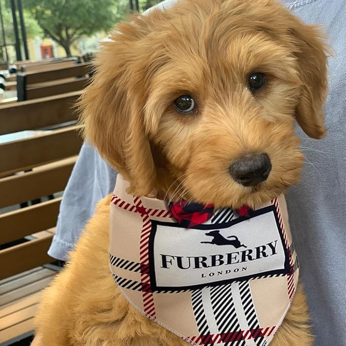 Dog Bandana Furry Plaid Designer Fashion Clothes Scarf kercheif for Small Medium and Large Dogs. Funny Parody Gift for Girl or boy Dog Soft Durable Fabric, Adjustable tie-on Style Triangle