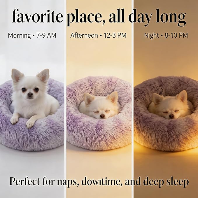 Calming Donut Dogs Beds for Small Dogs Washable,19inch Fluffy Round Puppy Bed for Puppies,Cats & Toy Breeds with Raised Rim,Fits up to 15 lbs Pets,Gradient Purple