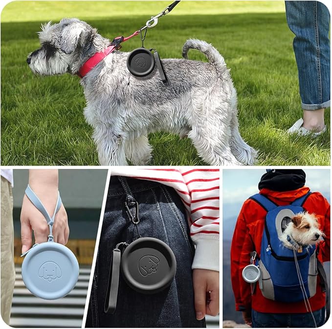 WALLFID Silicone Dog Treat Pouch Small Bag,with Pet Training Clicker,Walking Bag for Dog and Cat, Pocket Size, Easy to Clean, Odorless, Zipper Design,Moisture-Proof,Travel Walking Bag.(Black)