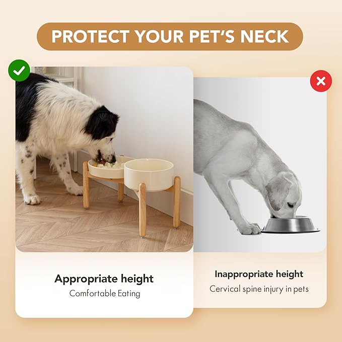 Havniva Ceramic Raised Slow Feeder Dog Bowl Set, Elevated 7.3inch Bowl and 8.2inch Slow Pet Food Dish with Wooden Stand for Medium and Large Dog (2 xLight Yellow+ Stand)