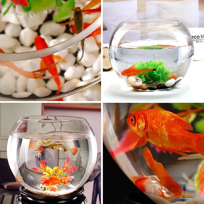 GANAZONO Glass Round Fish Tank 7.87X7.87X6.29 Inch Clear Small Fish Bowl Desktop Aquarium for Goldfish Home Office Wedding Decoration and Hydroponic Vase