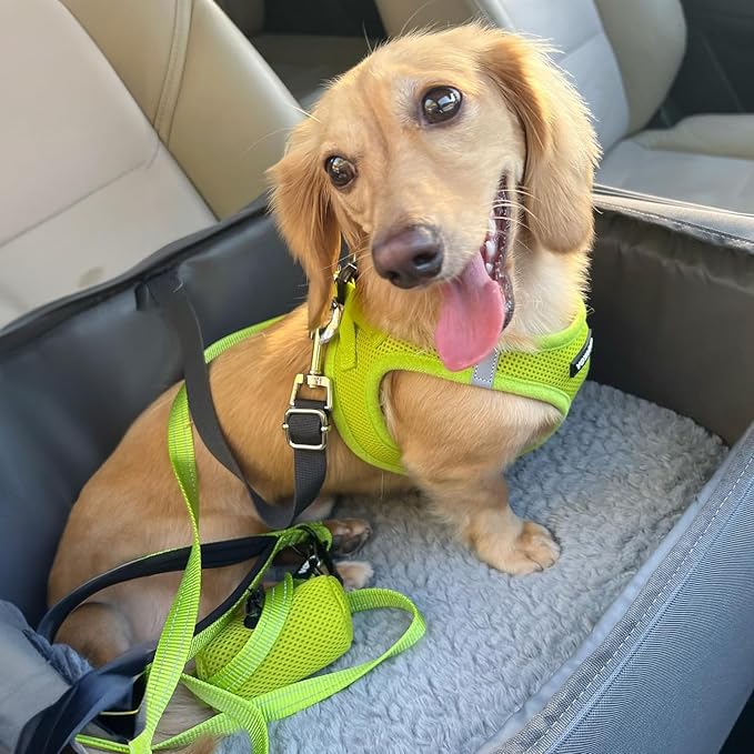 Best Pet Supplies Voyager Step-in Air All Weather Mesh Harness and Reflective Dog 5ft Leash Combo with Neoprene Handle, for Small, Medium and Large Breed Puppies - Lime Green, Large