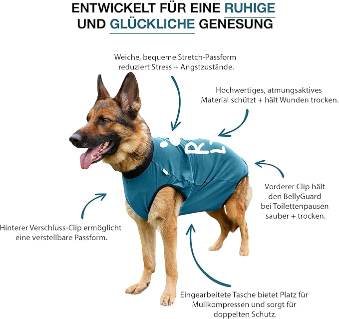 BellyGuard Dog Surgery Recovery Suit, Dog Onesie for Post-Op Care, Recovery Apparel for Female and Male, Surgical Body Cover for Canine Healing Support