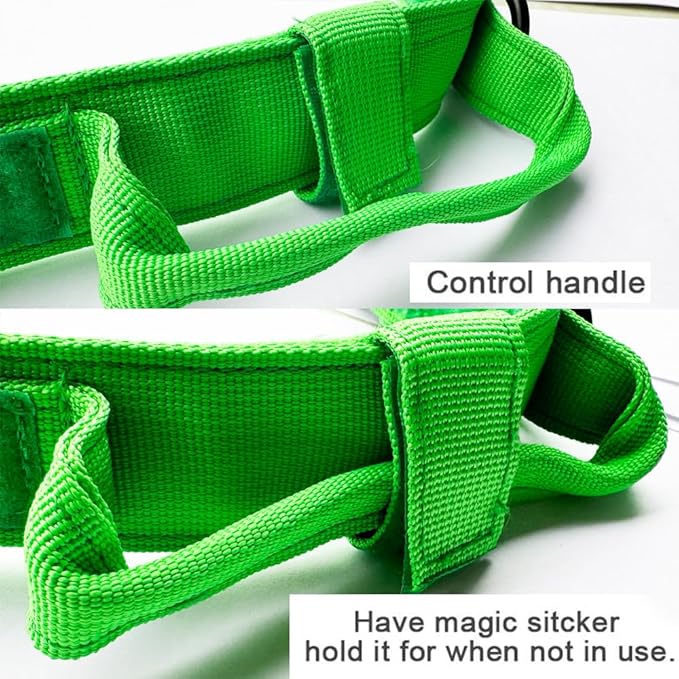 Xqpetlihai Tactical Dog Collar - Military Dog Collar - Adjustable Nylon - Heavy Duty Metal Buckle with Handle - Bright Green, Large, Medium